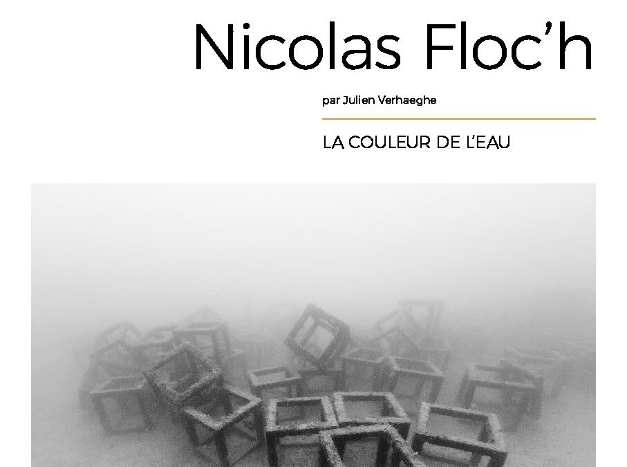 Verhaeghe_Possible1_Entretien avec Nicolas Floc’h
